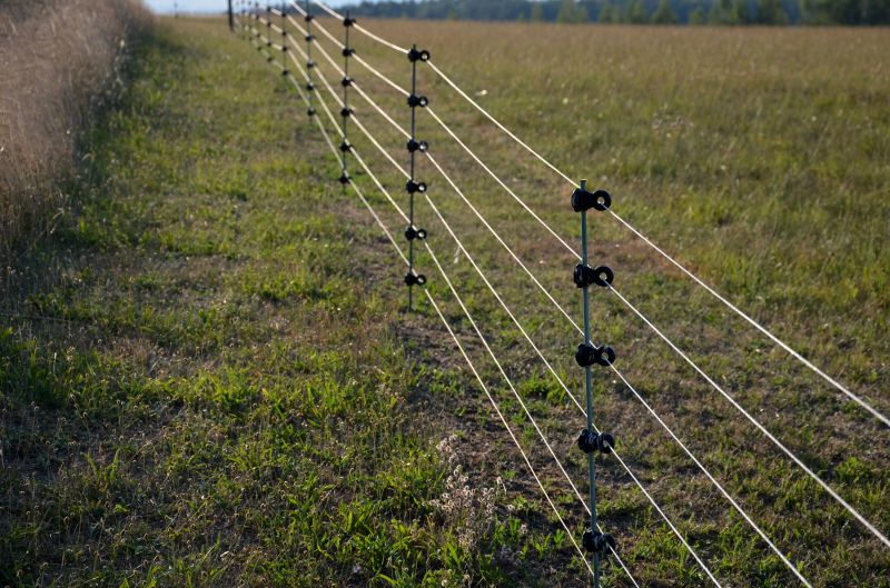High-Security Electric Fence