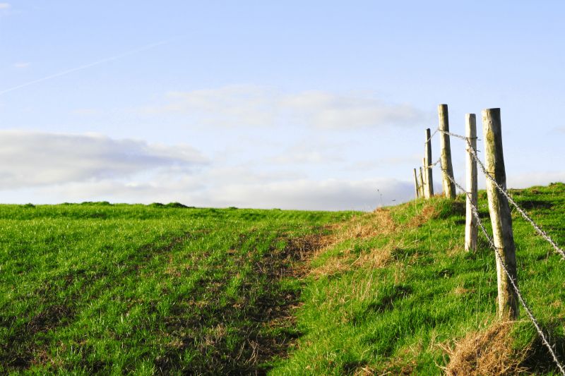 Rustic Fence with Gate