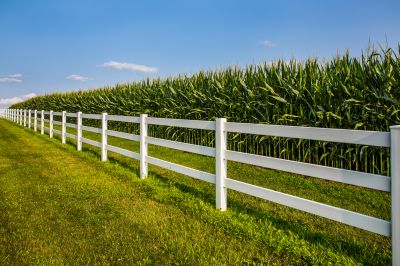 Add Visual Appeal To Your Property!